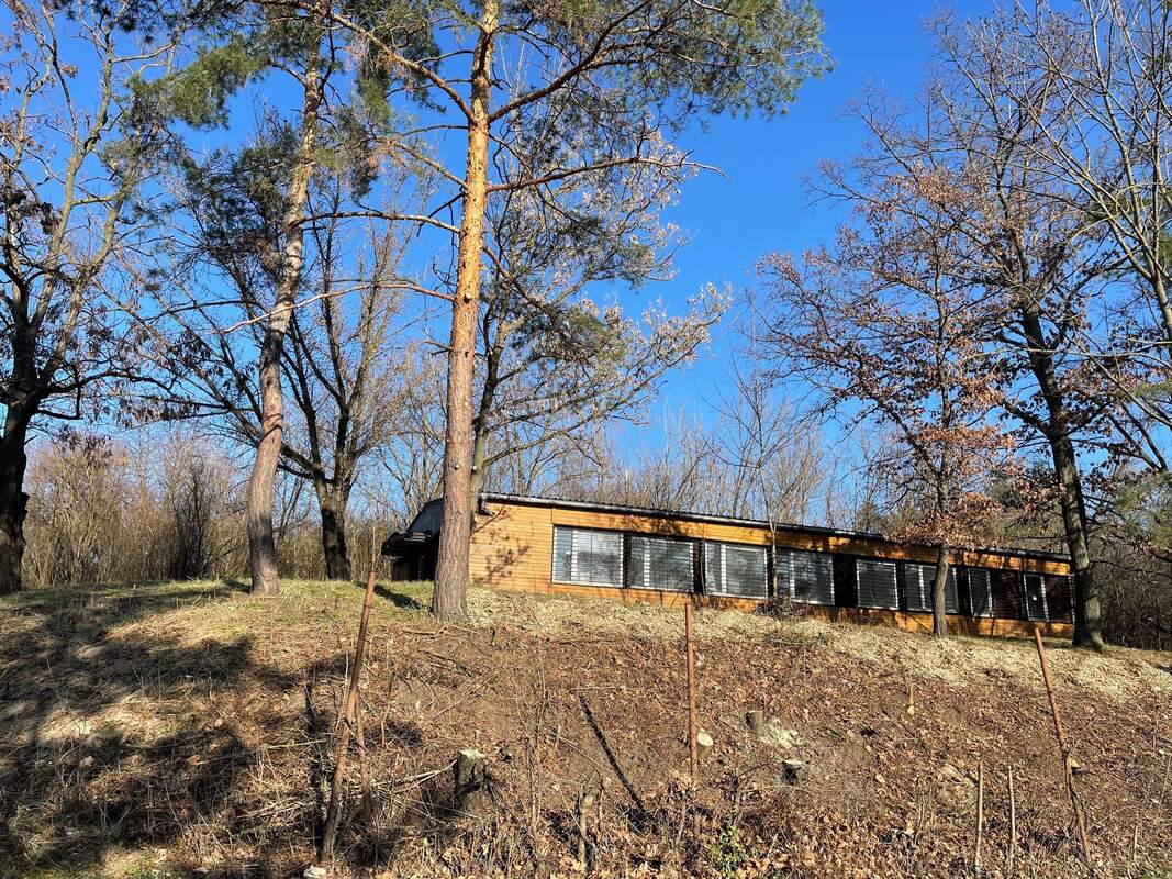 Budova zasazená mezi stromy v přírodním okolí